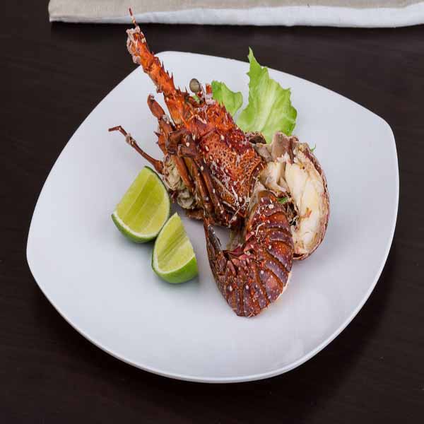 Grilled Spiny Lobster